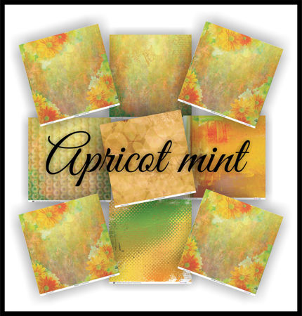 Picture for category Apricot Mint