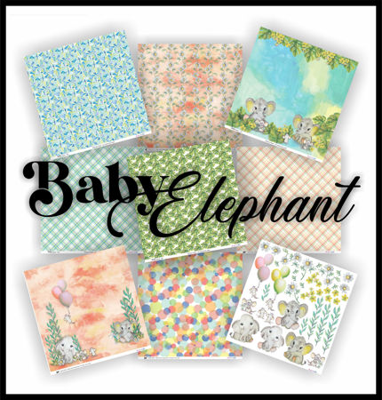 Picture for category Baby Elephant