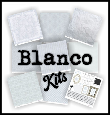 Picture for category Blanco Kits