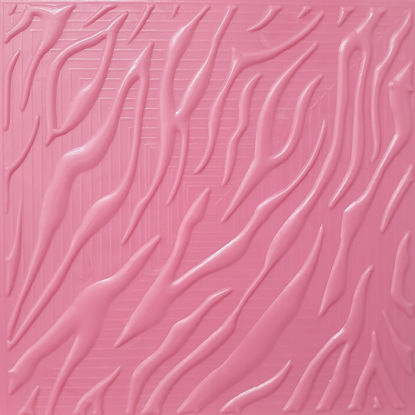Picture of Zebra Skin - Texture Plate