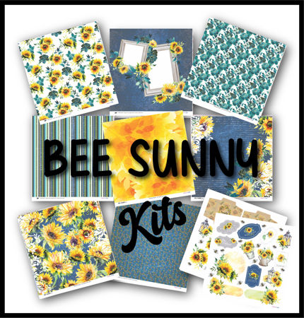 Picture for category Bee Sunny KIts