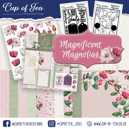 Picture of Magnificent Magnolias Collection Pack
