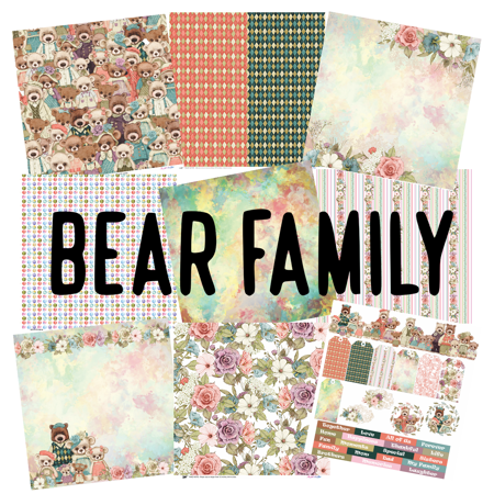 Picture for category Bear Family