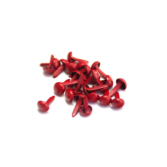 Picture of 4mm Red - Plain Brads