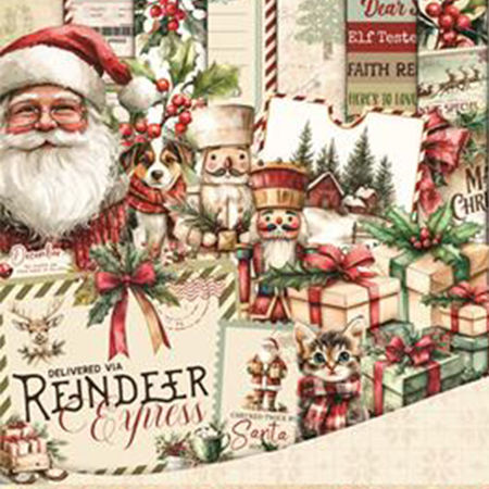 Picture for category Reindeer Express