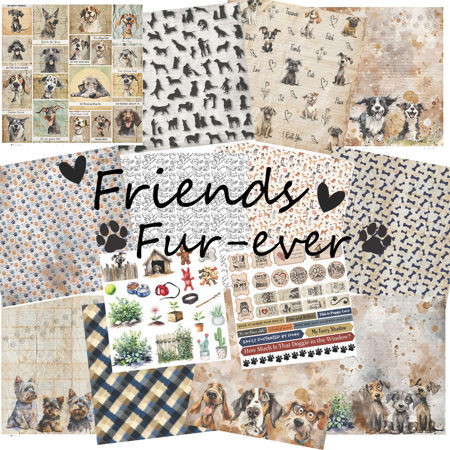 Picture for category Friends Fur-ever