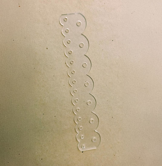 Picture of Scallop Ruler