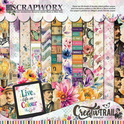 Picture of Live Life in Colour - Reimagined - 20cm x 20cm pack
