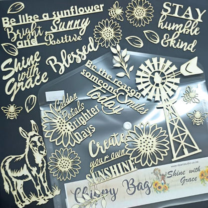 Picture of Shine with Grace - ENG Chippy Bag